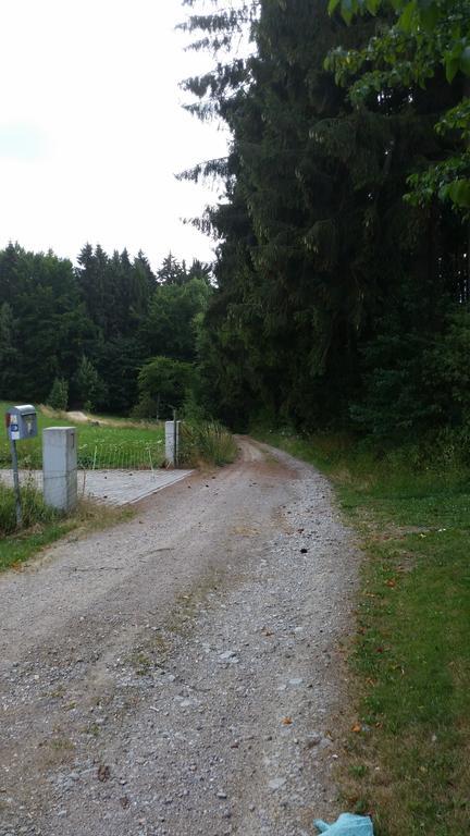 Waldgasthof - Hotel Schiederhof Wiesenfelden Eksteriør bilde